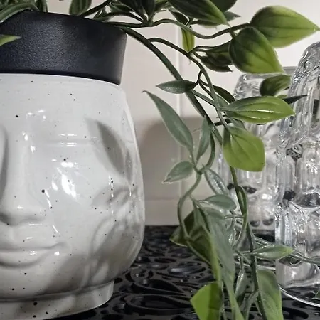 Alma De Nuevo En El Centro Malpica