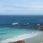 Alma De Nuevo En El Centro Malpica