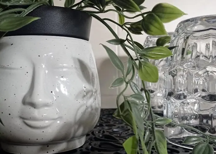 Alma De Nuevo En El Centro Malpica